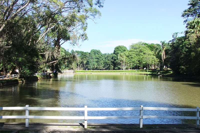 Lançamentos Horto Florestal