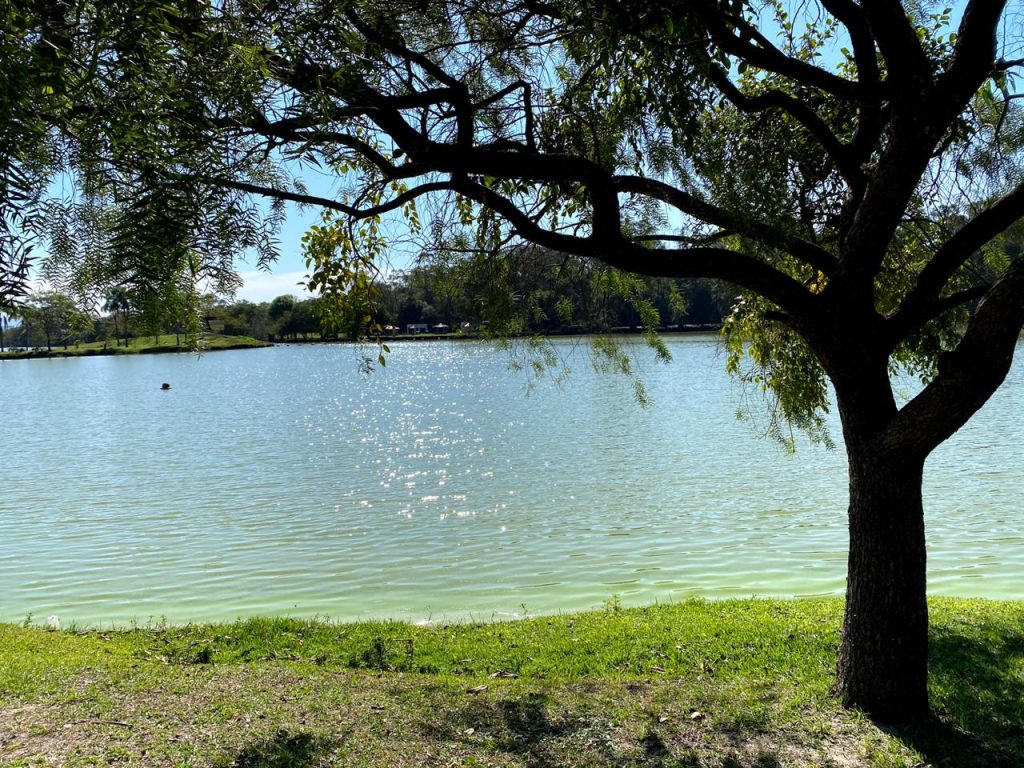 Protocolo de reabertura parques urbanos aos fins de semana e feriados