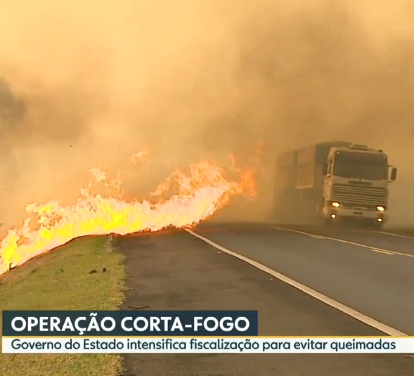 cortafogo print materia eptv