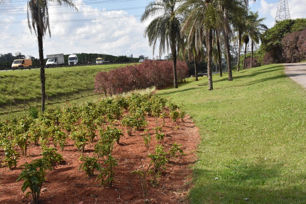 Jardim Metropolitano