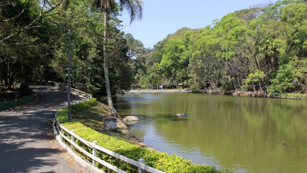 Lançamentos Horto Florestal