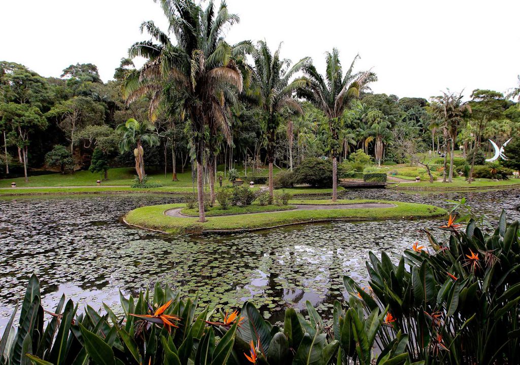 Lago das Ninfeías, no Jardim Botânico