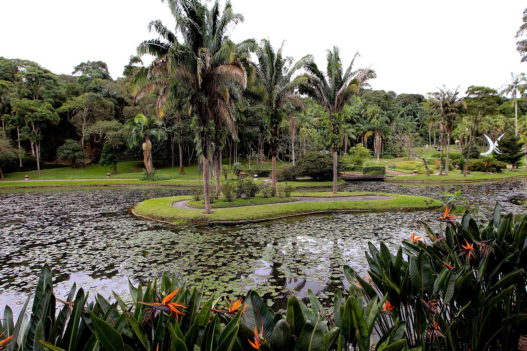 Lago das Ninfeías, no Jardim Botânico