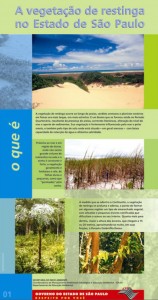 a-vegetacao-de-restinga-no-estado-de-sao-paulo