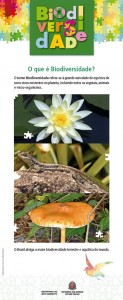 biodiversidade