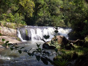Cachoeira dentro do PESM - Núcleo Cunha faz parte da trilha das Cachoeiras_divulgação ff