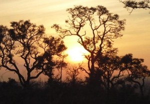 Pôr do Sol no Juquery _ Divulgação Fundação Florestal