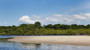 Parque Estadual Restinga de Bertioga oferece belas praias - Foto: Divulgação FF