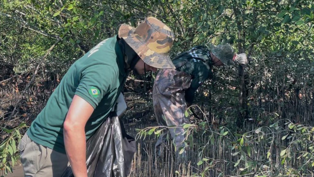 Fundação Florestal realiza corte de espécie invasora em Cubatão