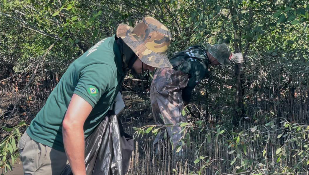 Fundação Florestal realiza corte de espécie invasora em Cubatão
