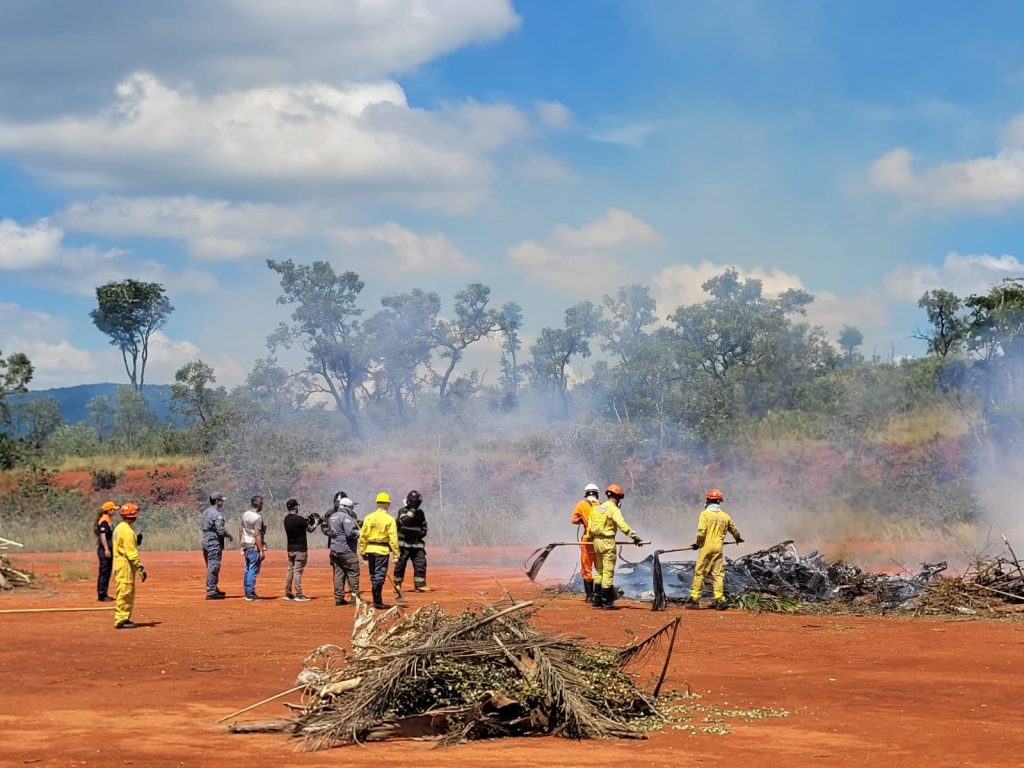 Operação SP Sem Fogo 2026 tem verbas para a Fundação Florestal