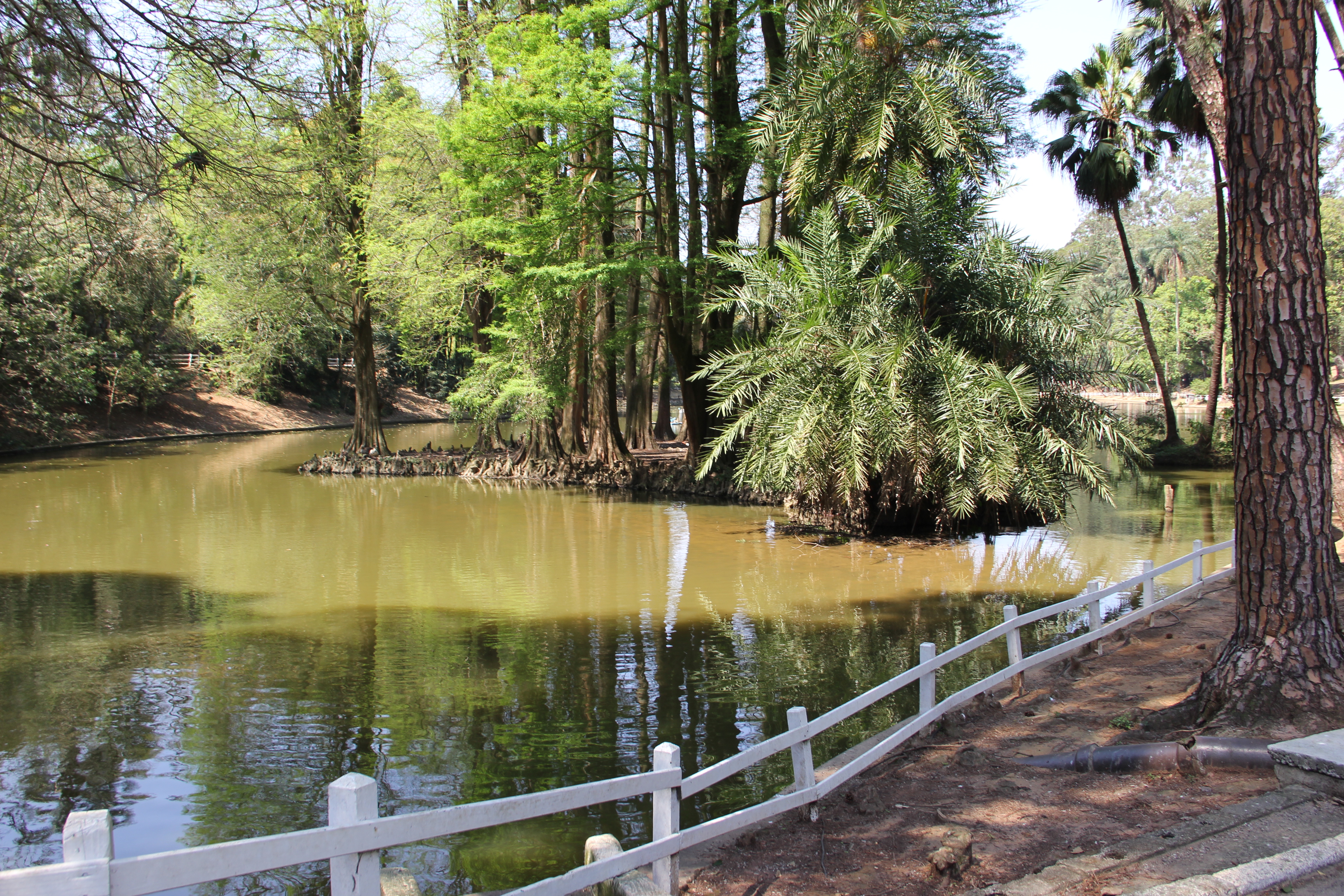 Parque Horto Florestal Lago