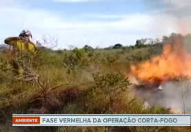 Começa a fase mais crítica de risco de incêndios no estado de São Paulo