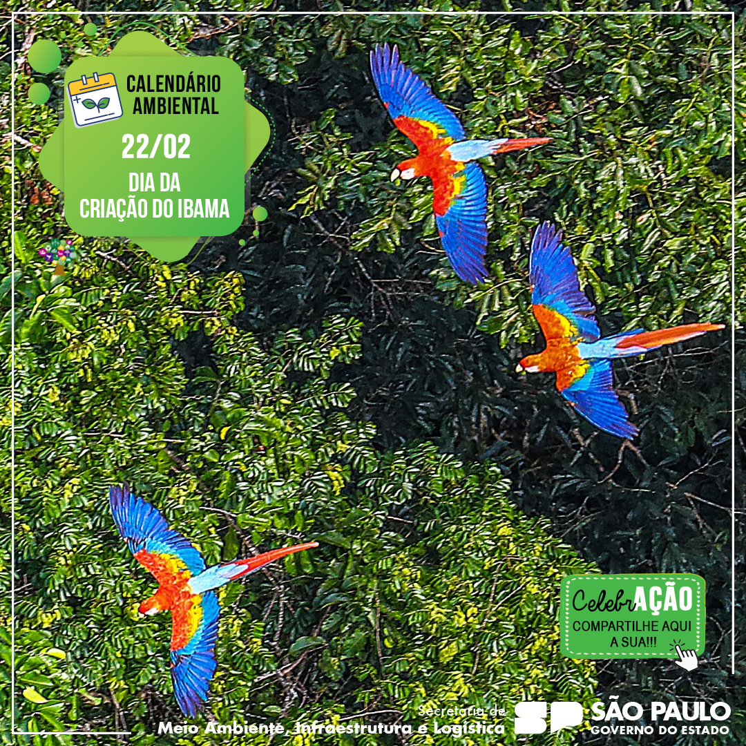 Portal de Educação Ambiental