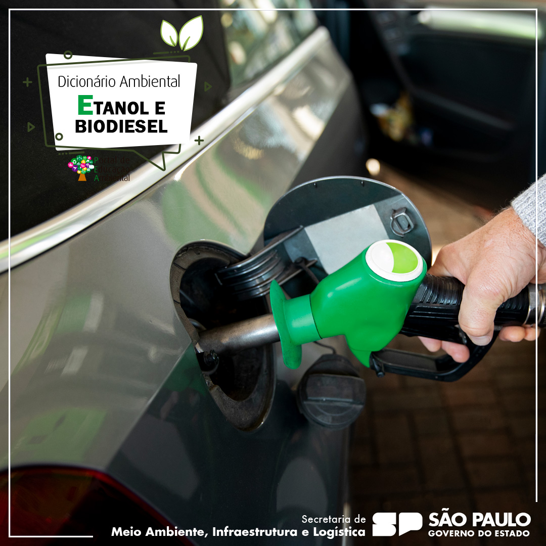 A Diferença Entre Bioetanol E Etanol De Petróleo – FNCG