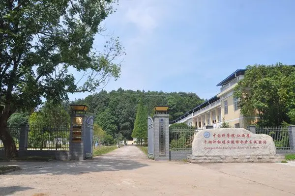 Estação de Pesquisa Ecológica de Qianyanzhou (Estação de Qianyanzhou). Imagem: Reprodução/Academia Chinesa de Ciências