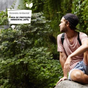 Área de Proteção Ambiental – APA