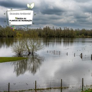 Várzea ou Planície de inundação