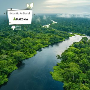 Amazônia