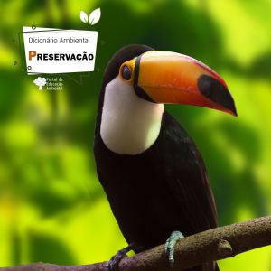 Preservação