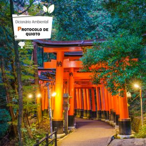 Protocolo de Quioto