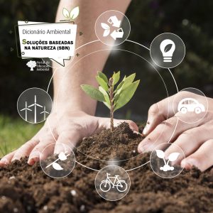 Soluções Baseadas na Natureza (SbN)