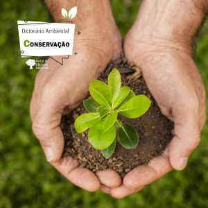 Conservação