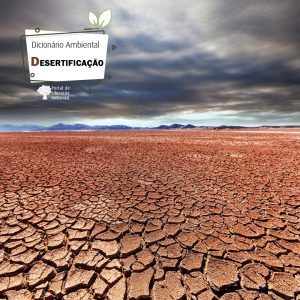 Desertificação