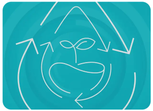 Economia circular: caminho fundamental para a regeneração