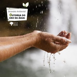 Outorga do uso da água