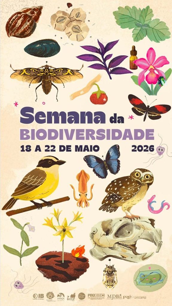 Imagem Ta na Midia 1