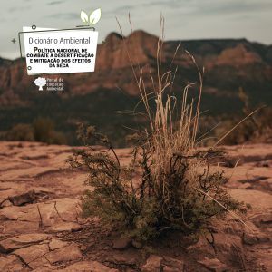 Política Nacional de Combate à Desertificação e Mitigação dos Efeitos da Seca