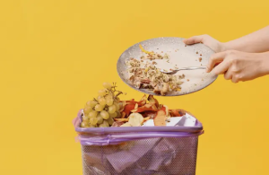 A primeira maçã: o desperdício de alimentos e a mudança climática