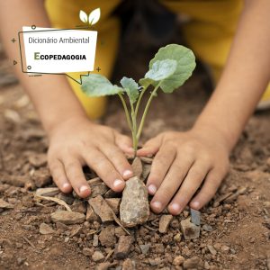 Ecopedagogia