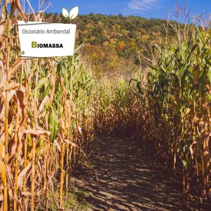 Biomassa