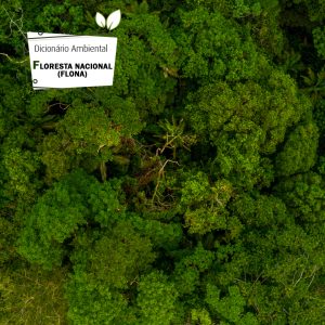 Floresta Nacional (FLONA)