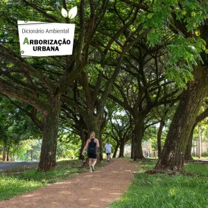 Arborização Urbana