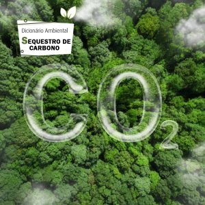 Sequestro de Carbono