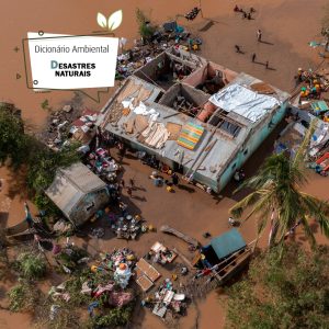 Desastres Naturais