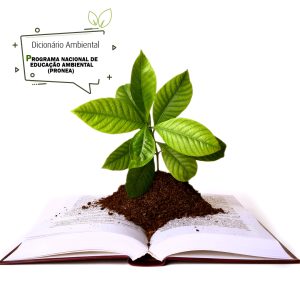 Programa Nacional de Educação Ambiental (ProNEA)
