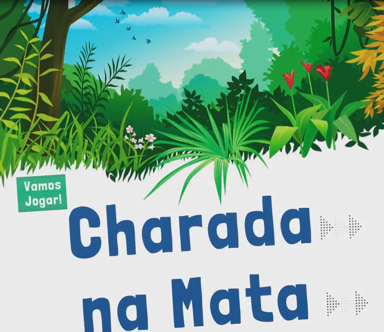 10 Fatos sobre o Charada