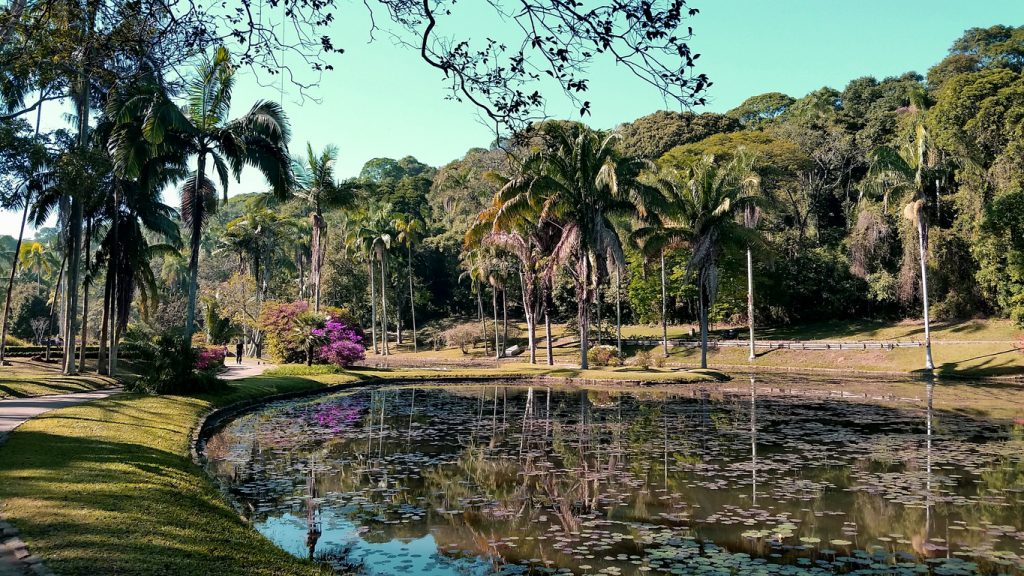 A Criação Do Jardim Botânico De São Paulo Portal De Educação Ambiental 2769