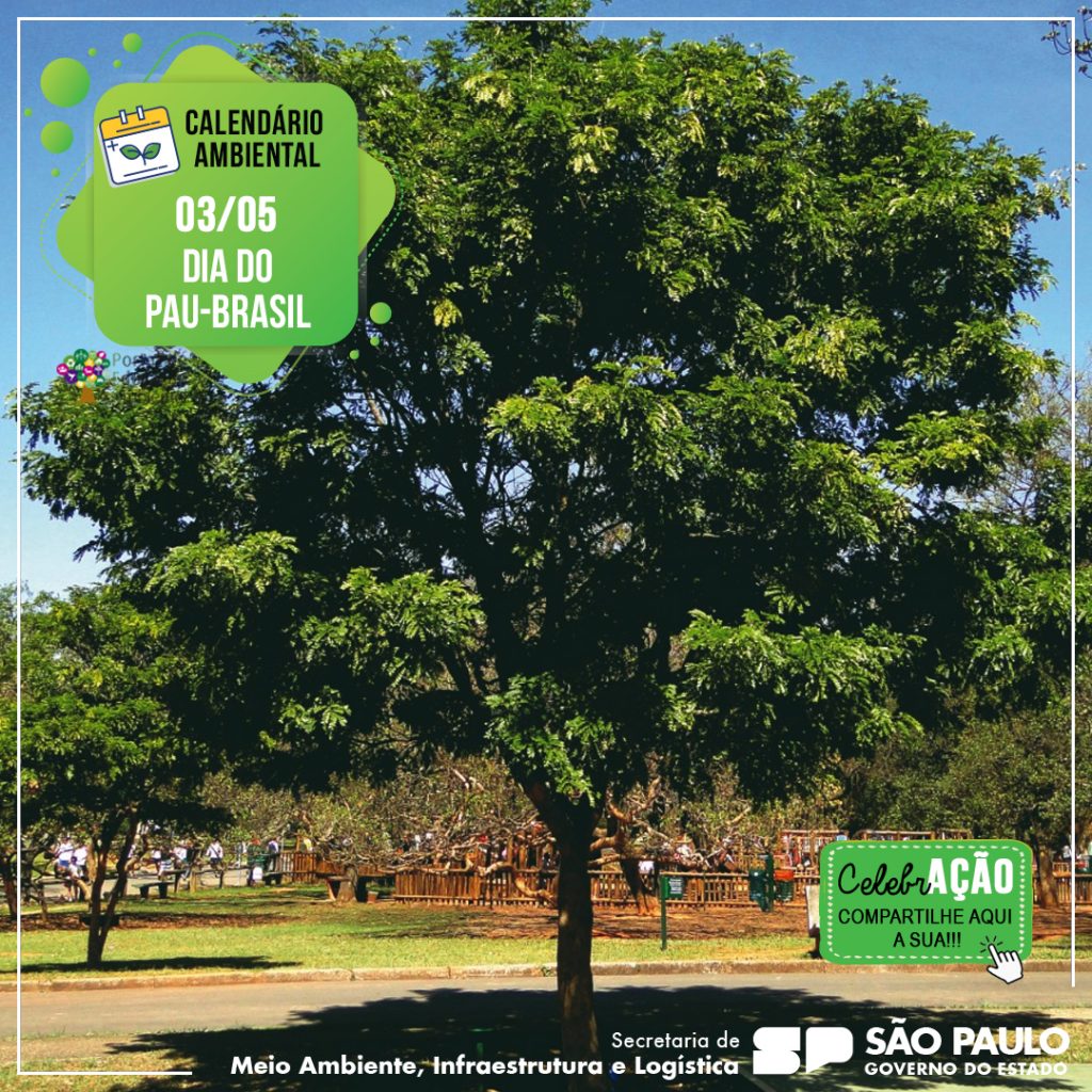 Portal de Educação Ambiental