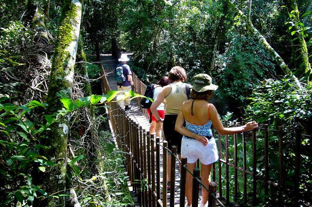 Monitorar os impactos pode garantir a sustentabilidade da prática do turismo em áreas protegidas