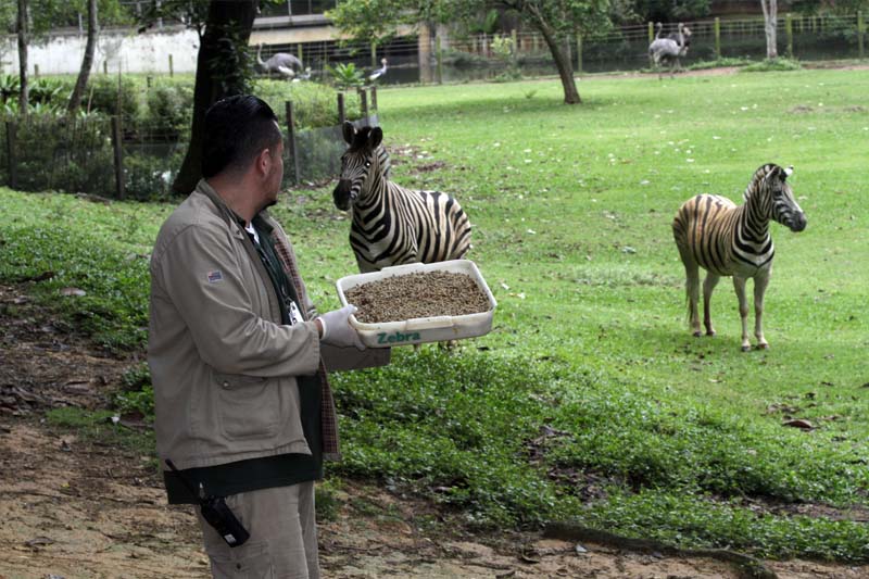 Secretaria de Meio Ambiente, Infraestrutura e Logística