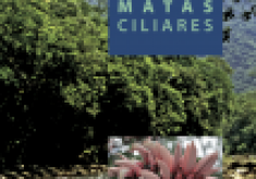 07-matas-ciliares-107x1551-107x150