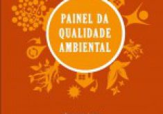 imagempainelqualidadeambiental2011-150x1502